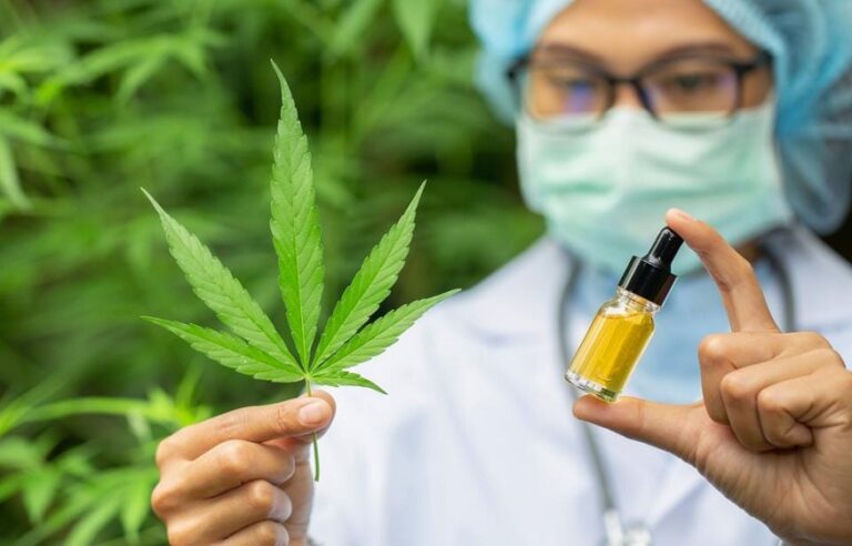 the CBD Oil